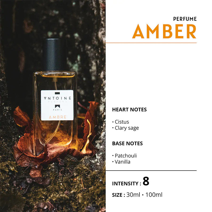 Antoine Perfume - Amber 30ml